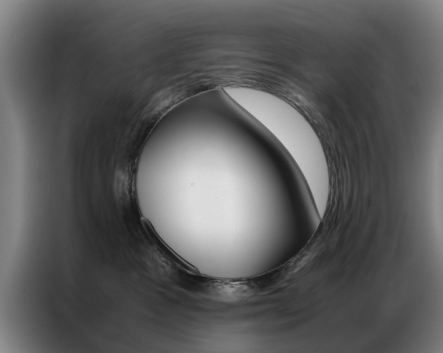 X0000087310333200704200723