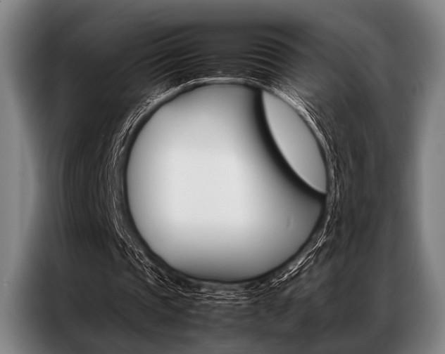 X0000087310337200704200722