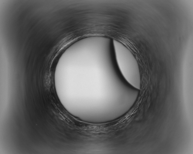 X0000087310338200704200722