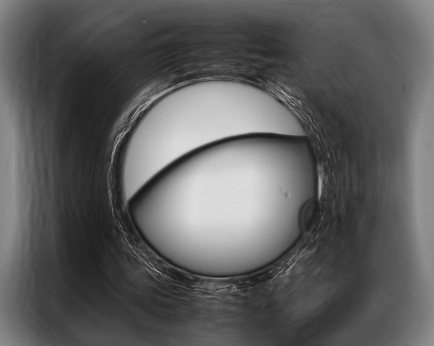 X0000087310339200704200722