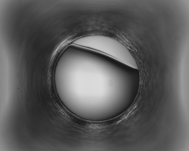 X0000087310341200704200722