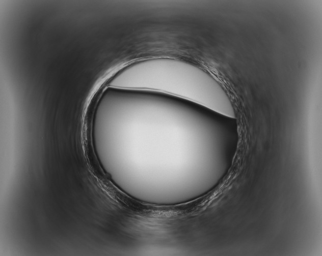X0000087310342200704200722