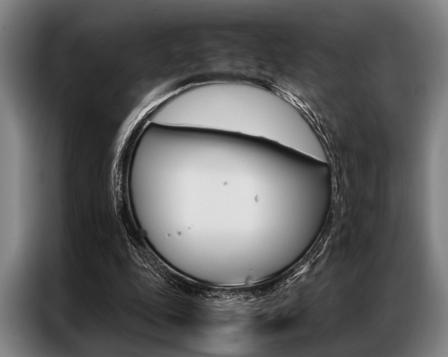 X0000087310343200704200722
