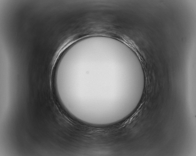 X0000087310344200704200723