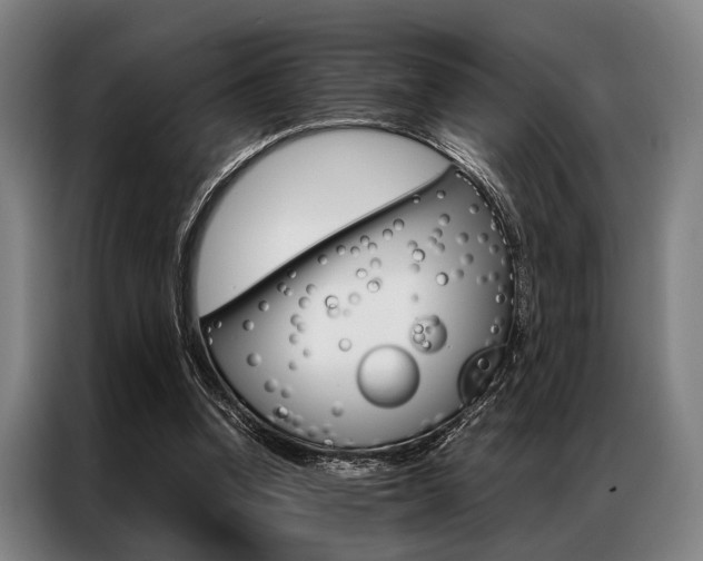 X0000087310346200704200723