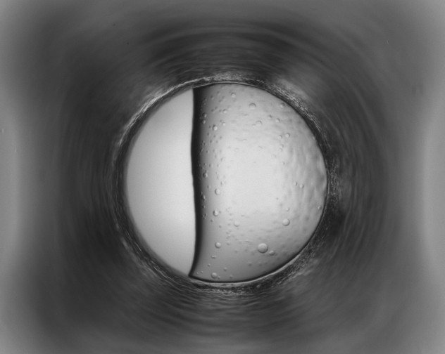 X0000087310347200704200723