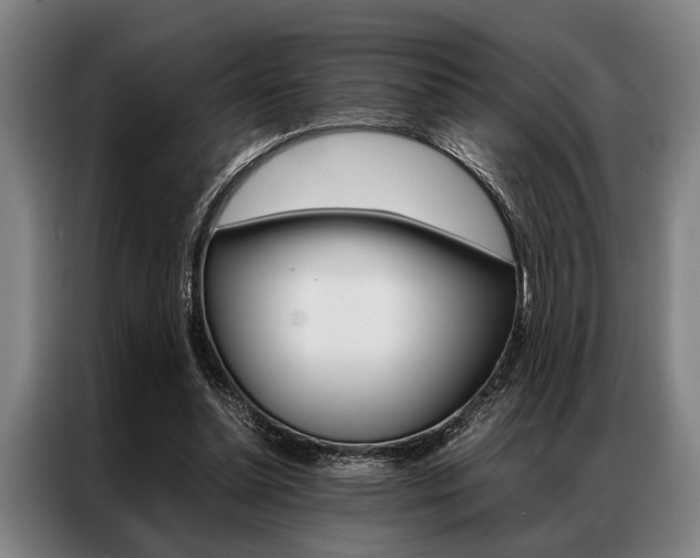 X0000087310348200704200723