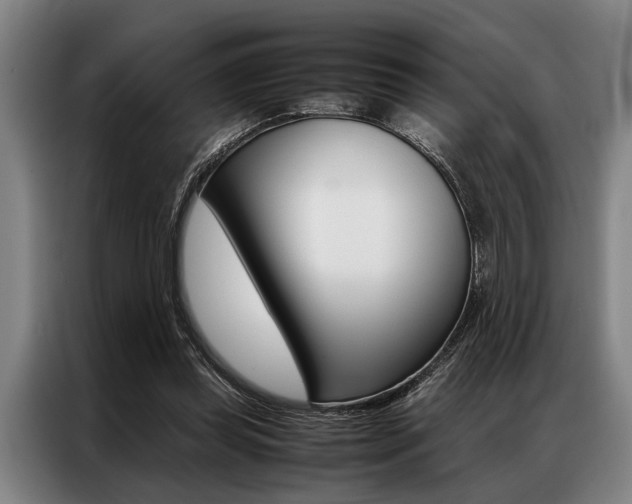 X0000087310349200704200723