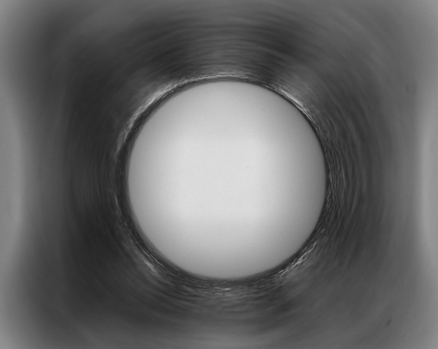 X0000087310350200704200723