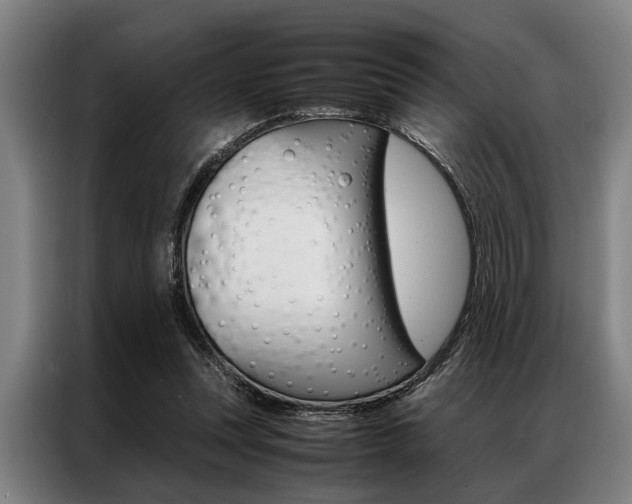X0000087310351200704200723