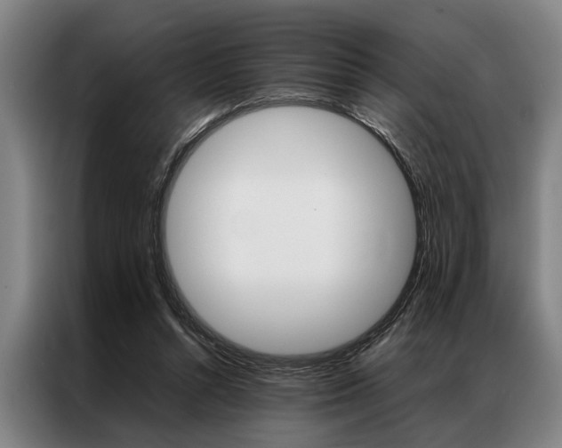 X0000087310352200704200723