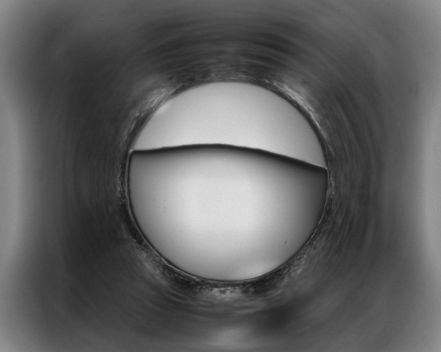 X0000087310353200704200723