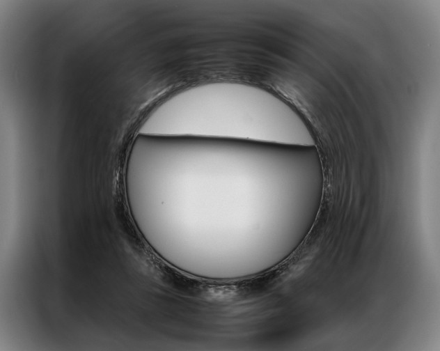 X0000087310355200704200723