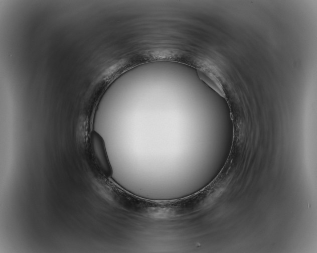 X0000087310356200704200723