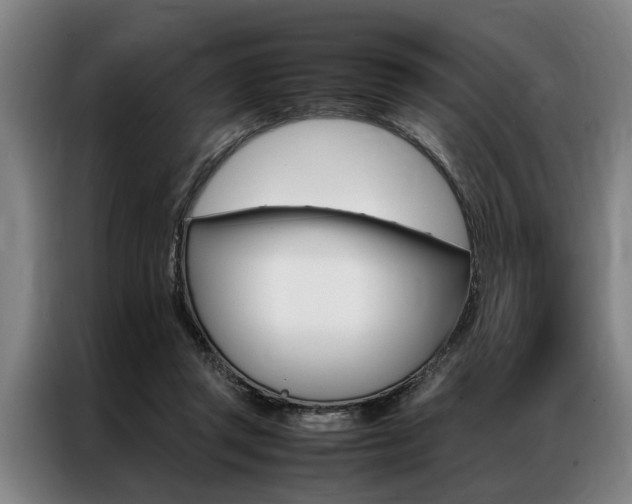 X0000087310357200704200723