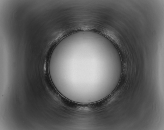 X0000087310358200704200723