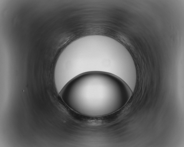 X0000087310362200704200723
