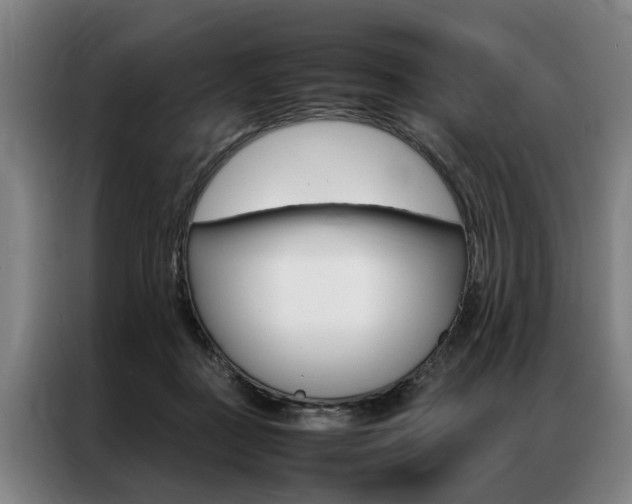 X0000087310363200704200723