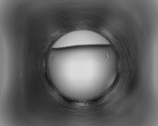 X0000087310365200704200723