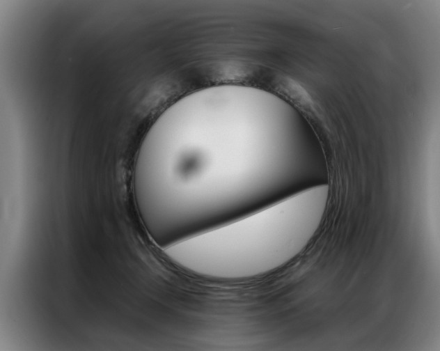 X0000087310366200704200723