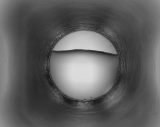 X0000087310367200704200723