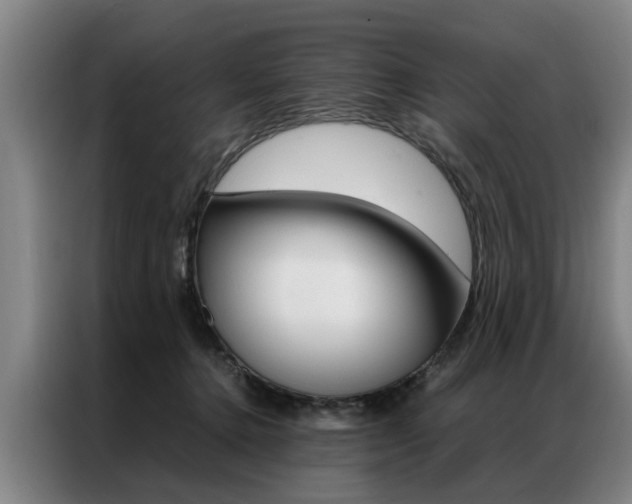 X0000087310368200704200723