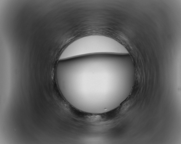 X0000087310374200704200723