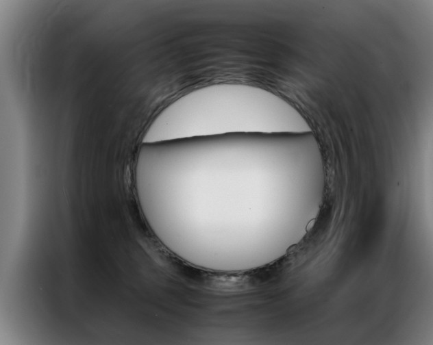 X0000087310375200704200723