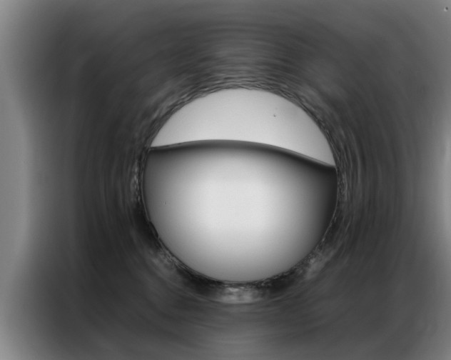 X0000087310376200704200723