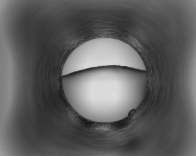 X0000087310377200704200723
