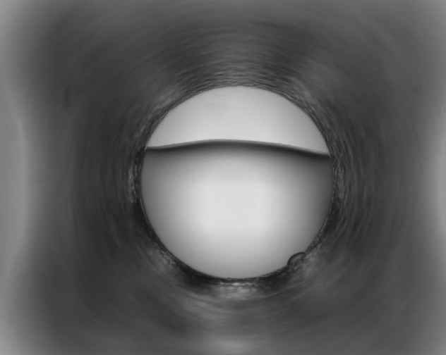 X0000087310378200704200723