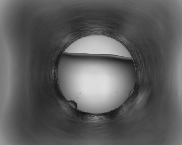X0000087310379200704200723