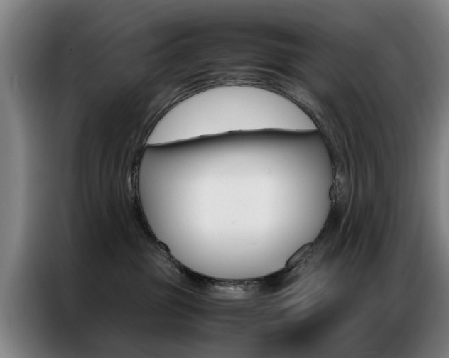 X0000087310381200704200723