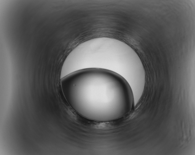 X0000087310382200704200723