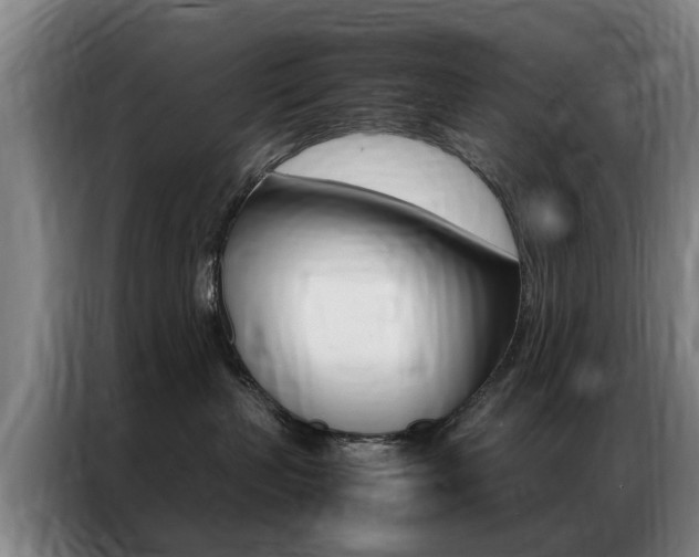X0000087310383200704200723