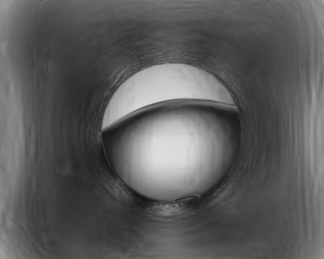 X0000087310384200704200723