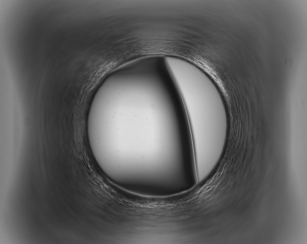 X0000087310385200704200722