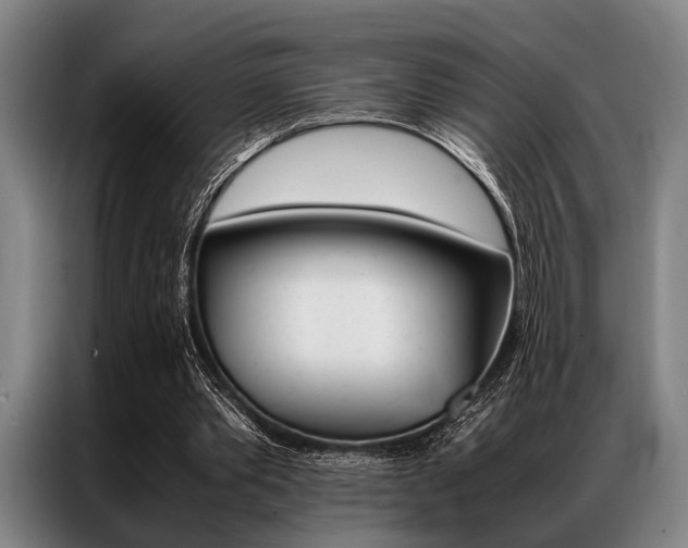X0000087310389200704200722