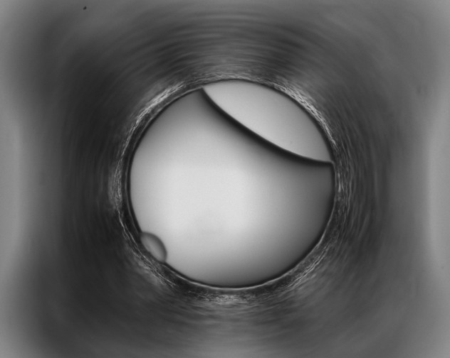 X0000087310390200704200722