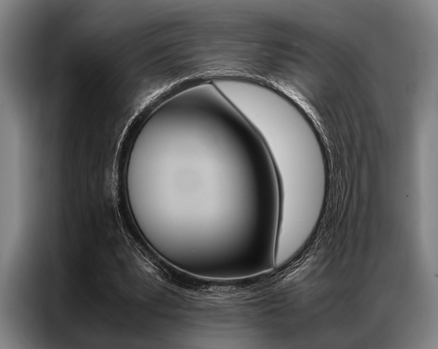 X0000087310391200704200722
