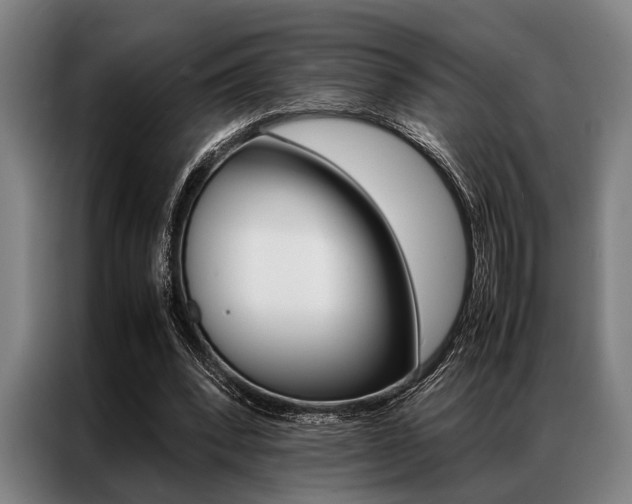 X0000087310392200704200722