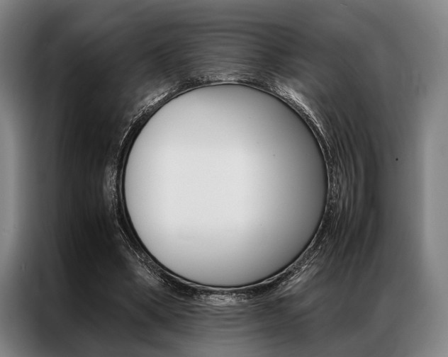 X0000087310394200704200722