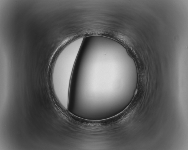 X0000087310395200704200722