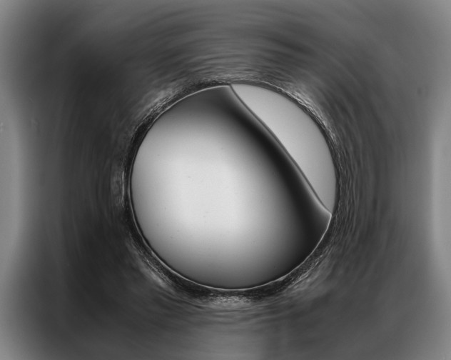 X0000087310397200704200722