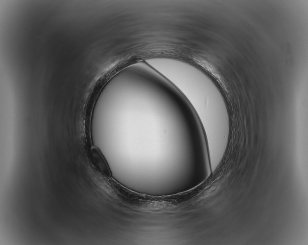 X0000087310399200704200722
