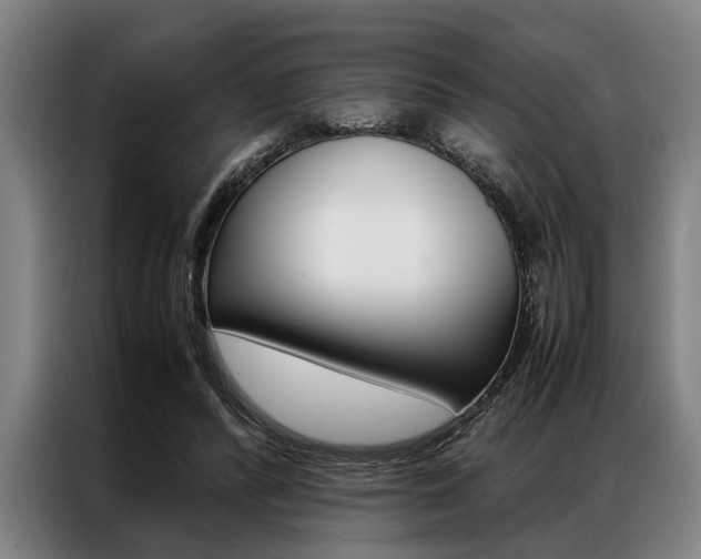 X0000087310400200704200722