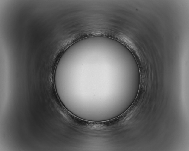 X0000087310401200704200722