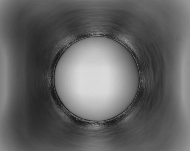 X0000087310402200704200722