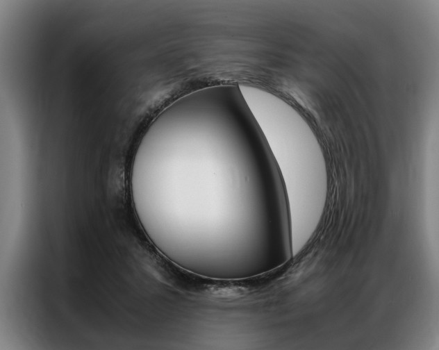 X0000087310407200704200722