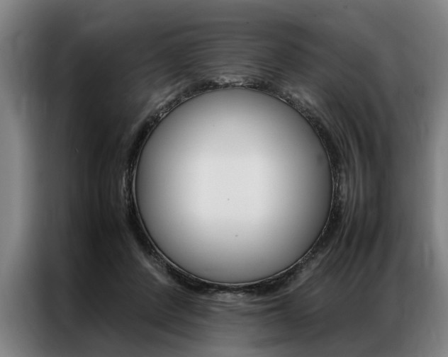 X0000087310408200704200722